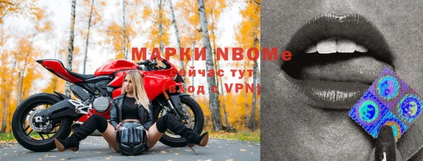 шишки Пестово