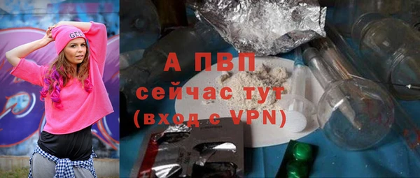 шишки Пестово