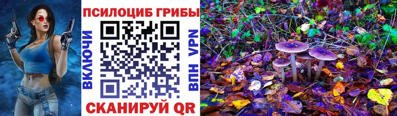 Псилоцибиновые грибы прущие грибы  мориарти какой сайт  Корсаков 